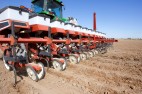 Planter in field