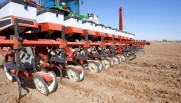 Planter in field